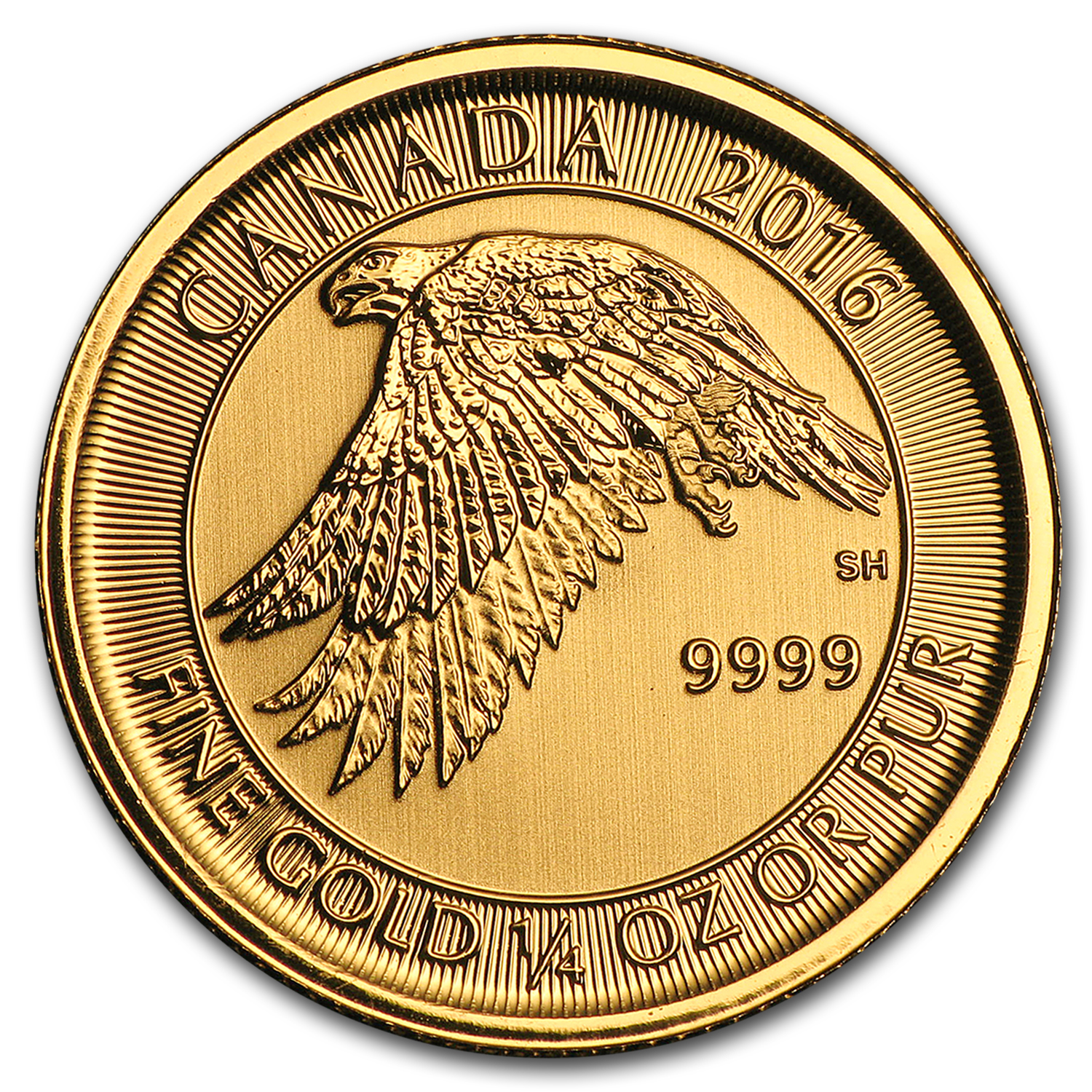 Buy 2016 Canada 1/4 oz Gold White Falcon BU