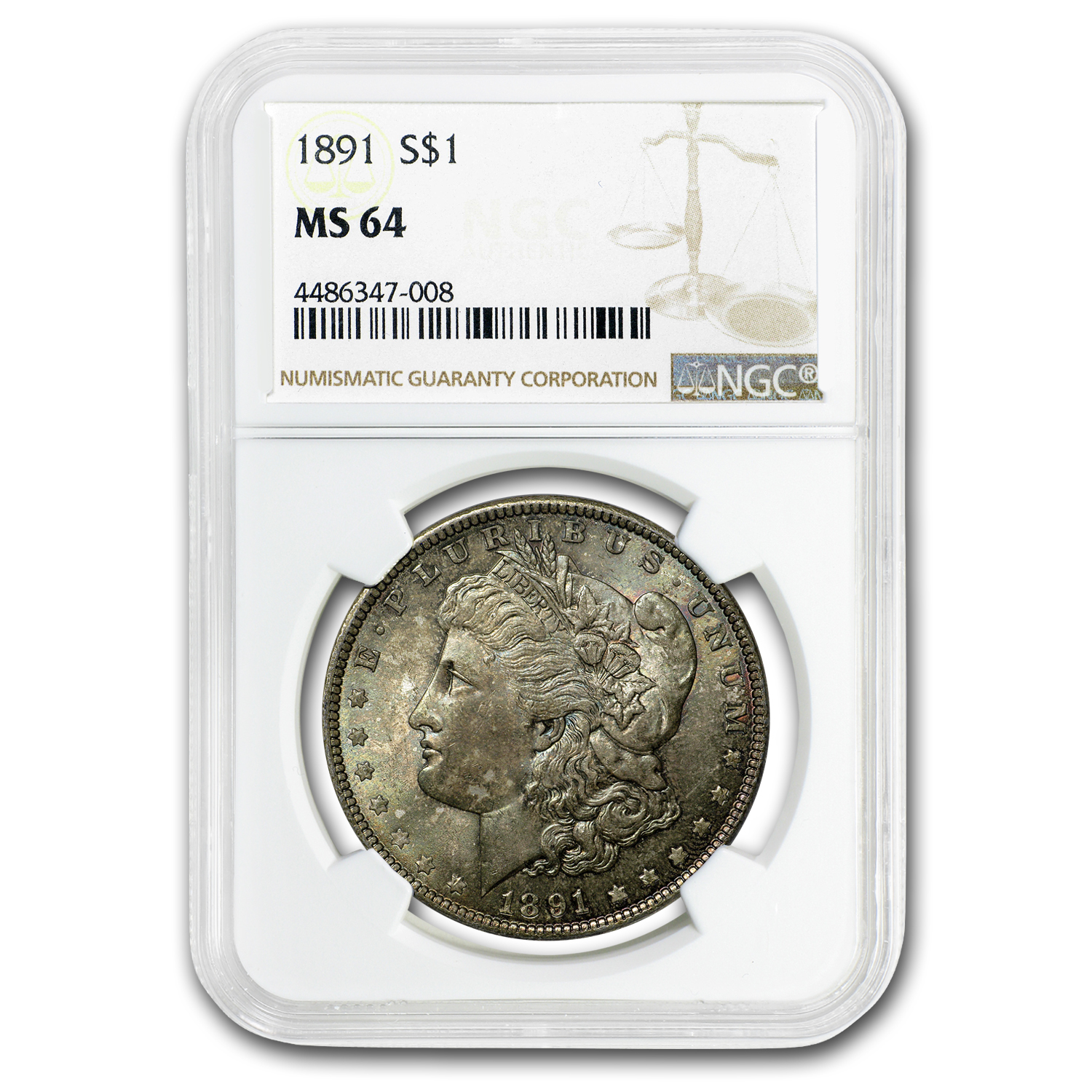 Buy 1891 Morgan Dollar MS-64 NGC (Toned)