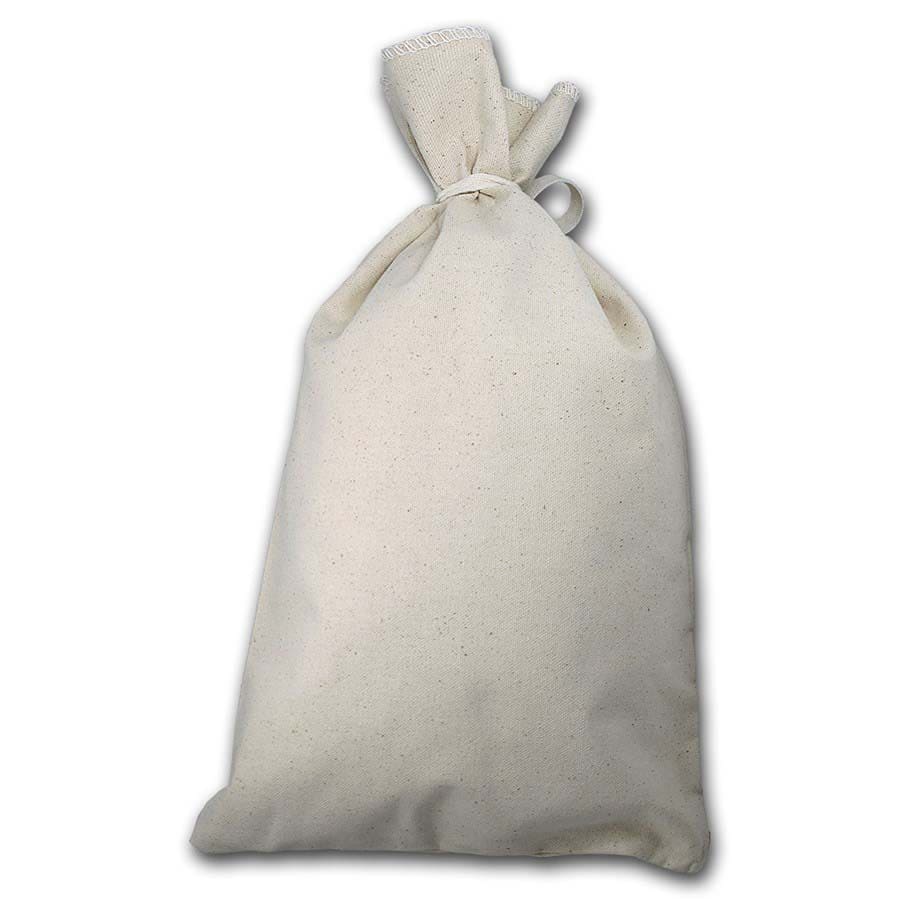 Buy Blank 10" X 16" Money Bag - Holds $500+ Coins (Heavy Duty)