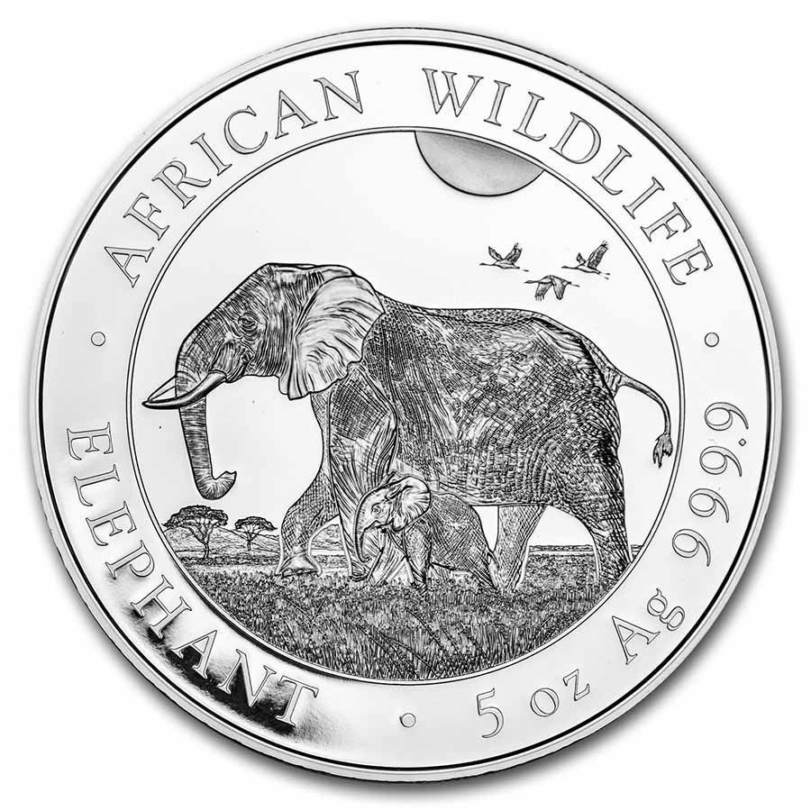 Buy 2022 Somalia 5 oz Silver Elephant BU