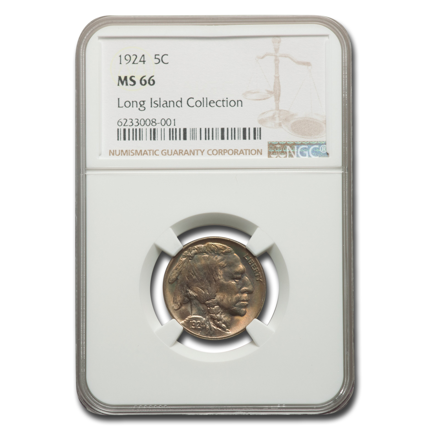 Buy 1924 Buffalo Nickel MS-66 NGC