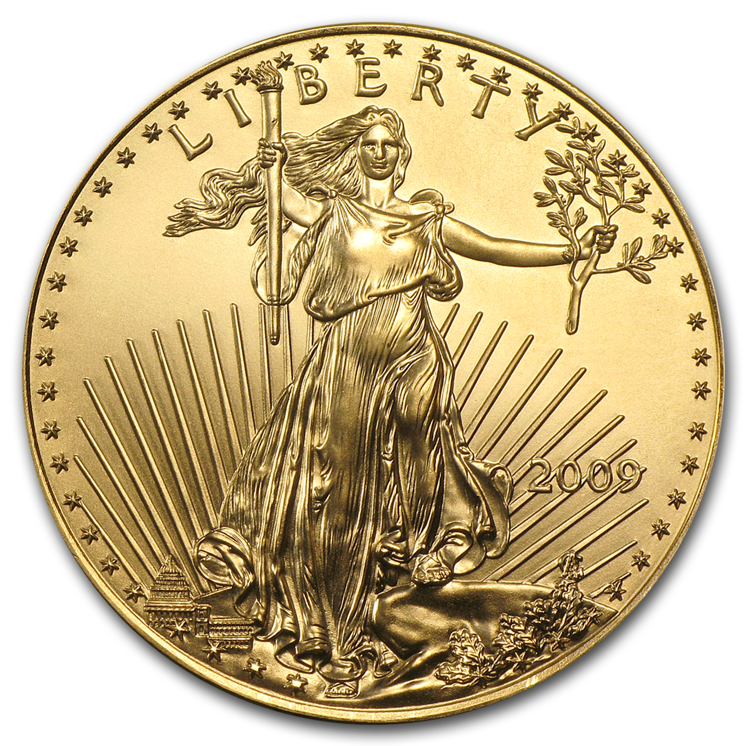 Buy 2009 1 oz American Gold Eagle BU