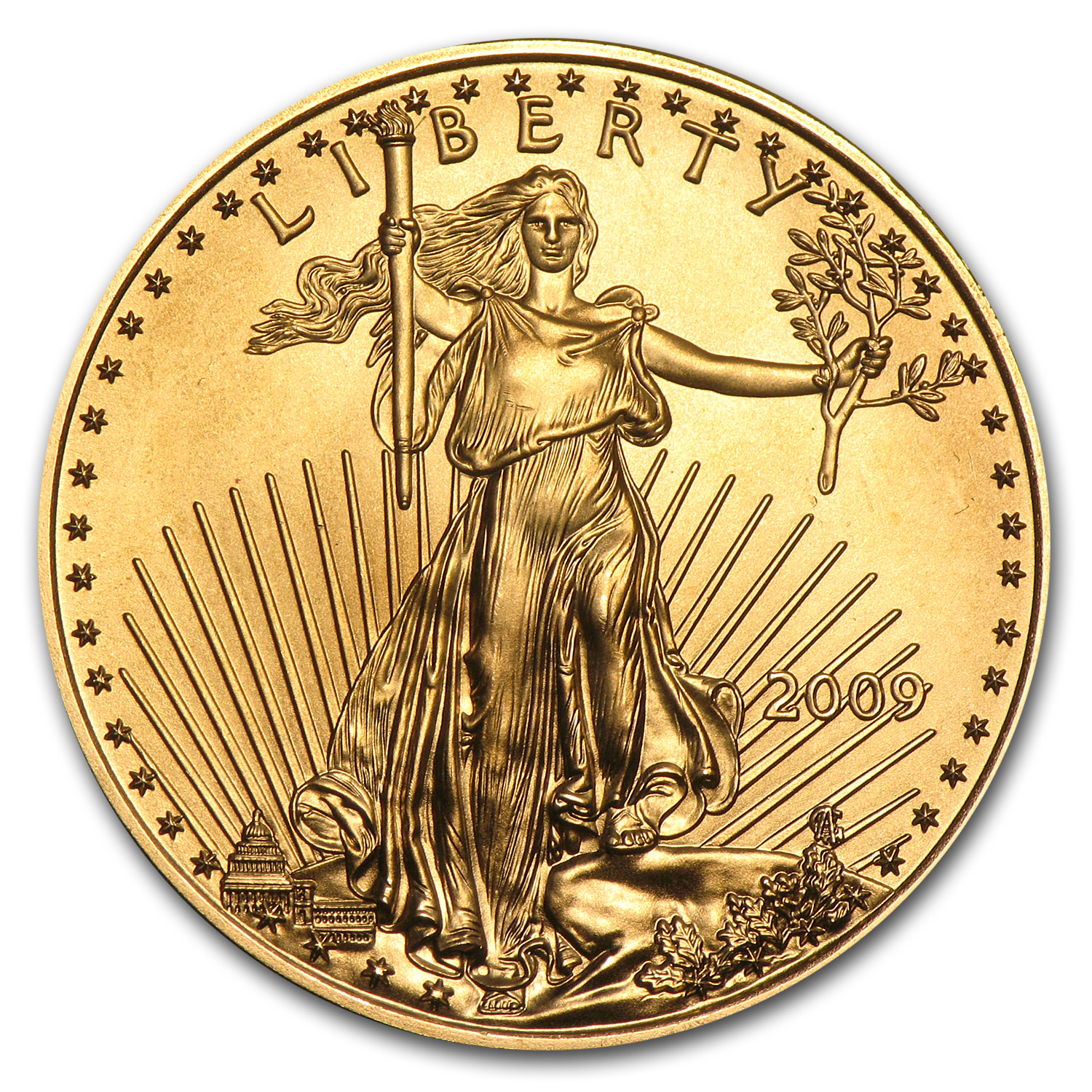 Buy 2009 1/2 oz American Gold Eagle BU