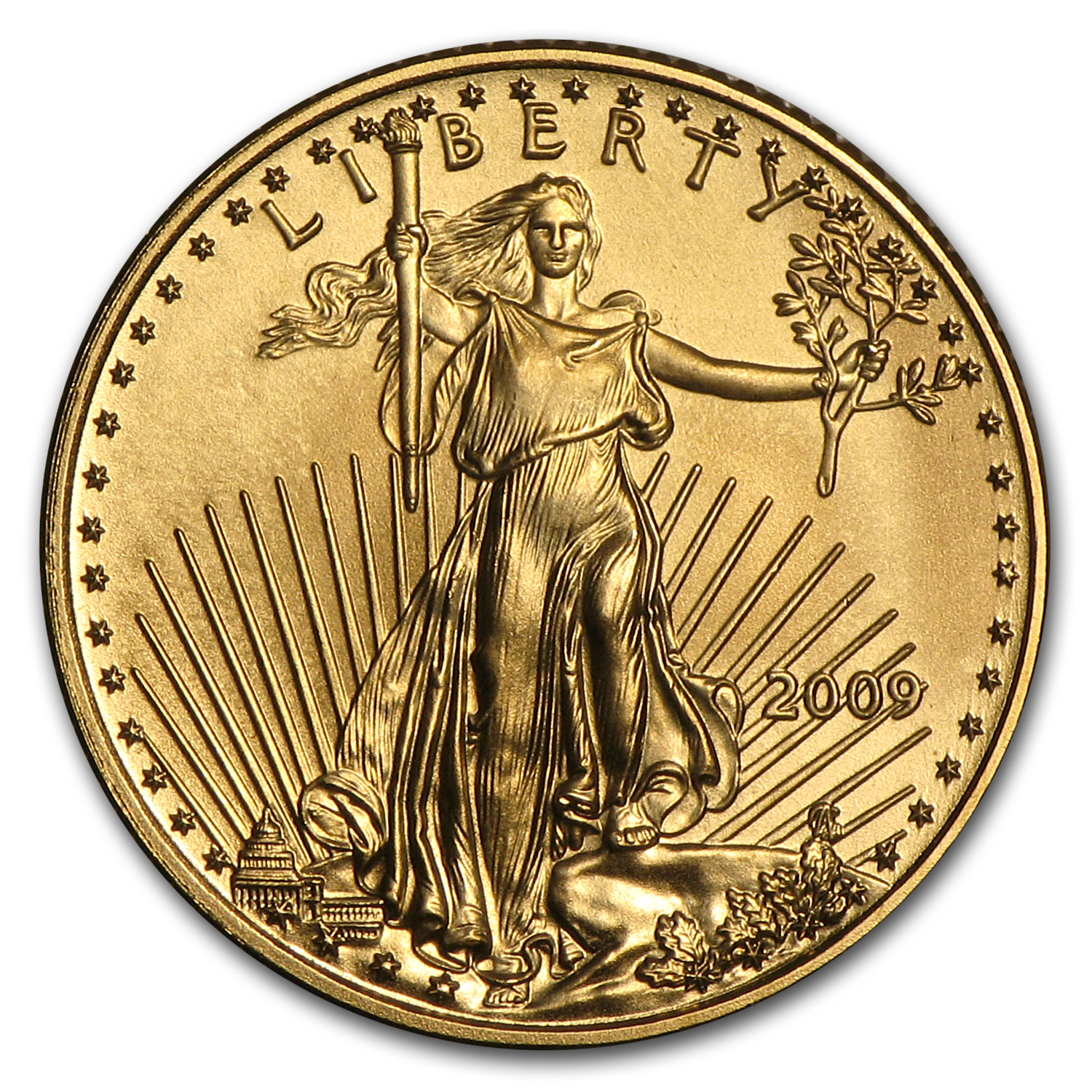 Buy 2009 1/10 oz American Gold Eagle BU
