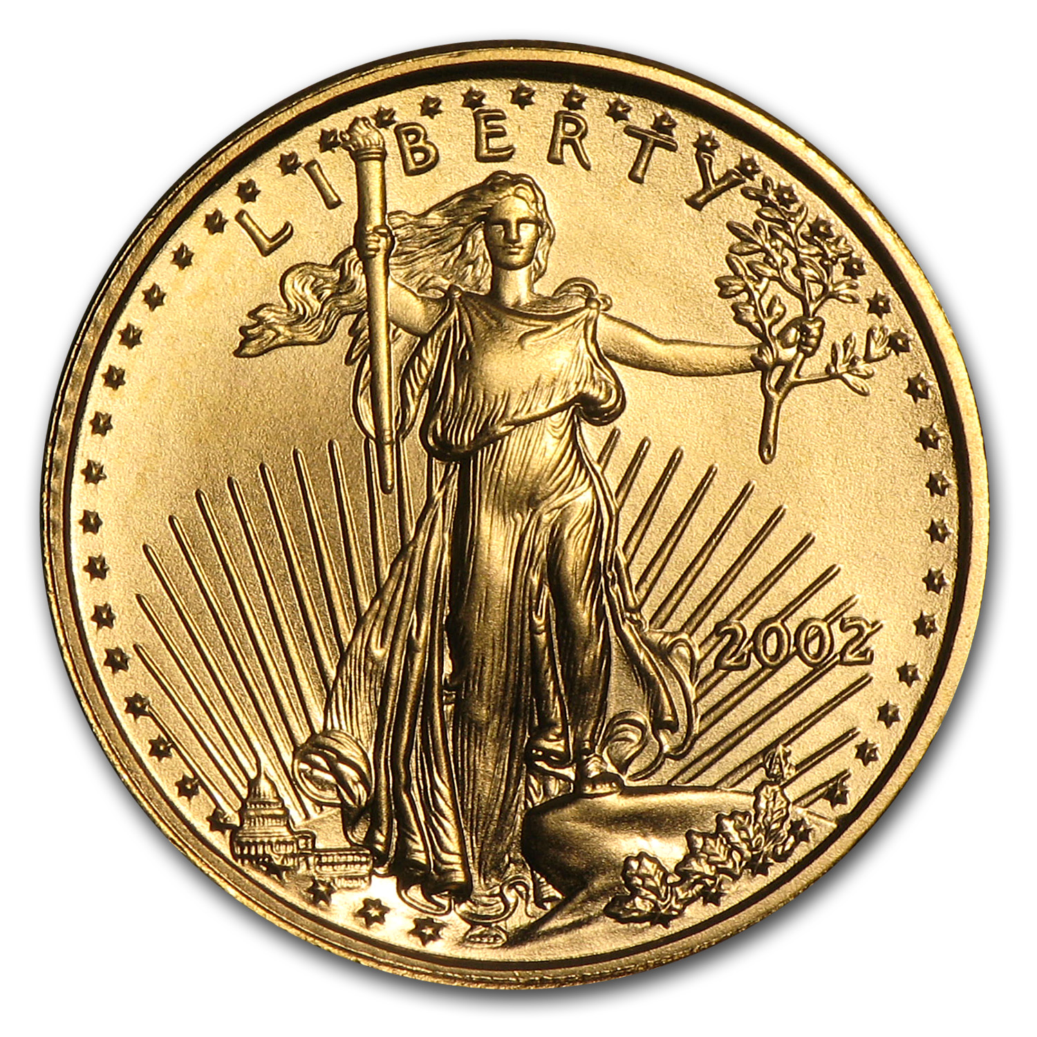 Buy 2002 1/10 oz American Gold Eagle BU