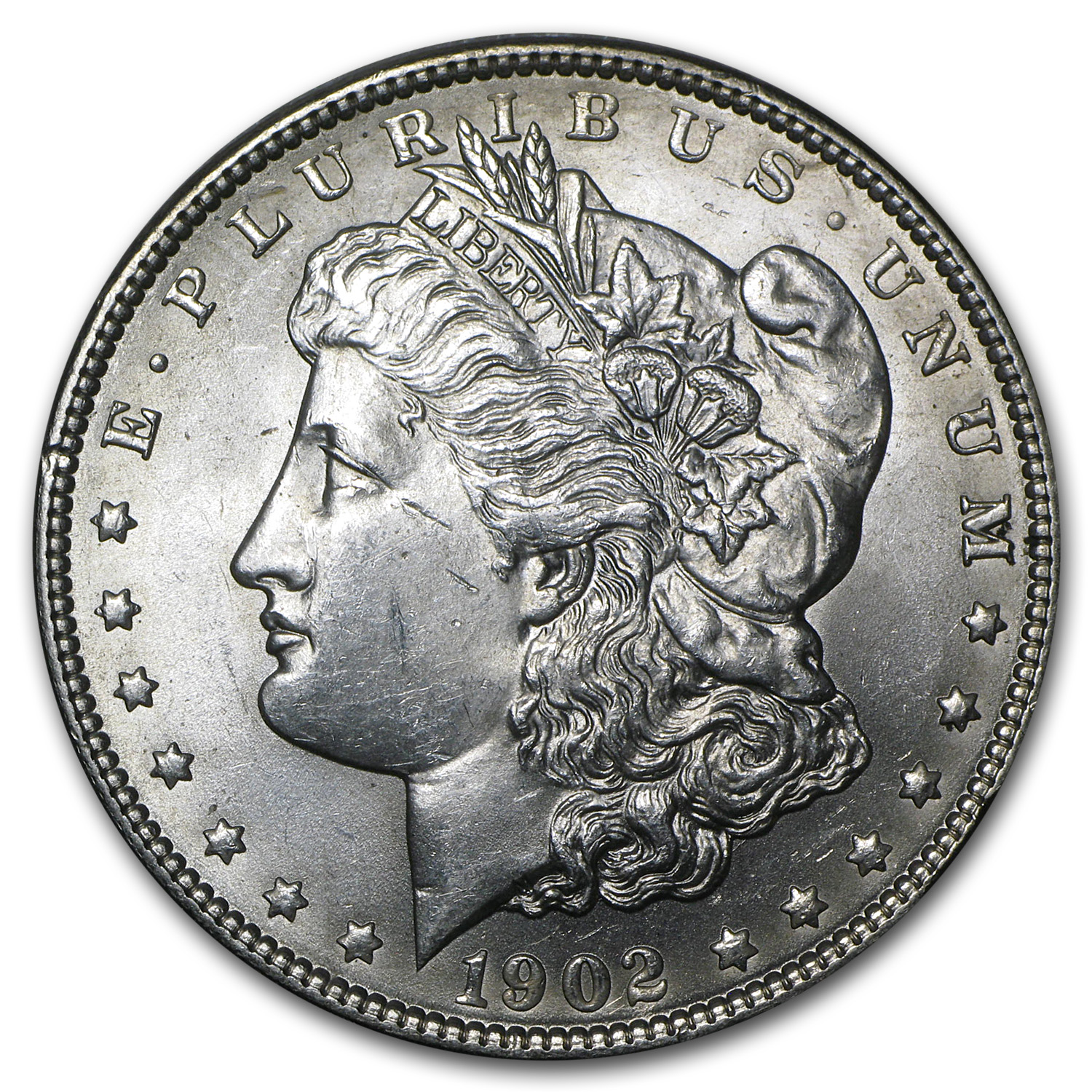 Buy 1902 Morgan Dollar BU