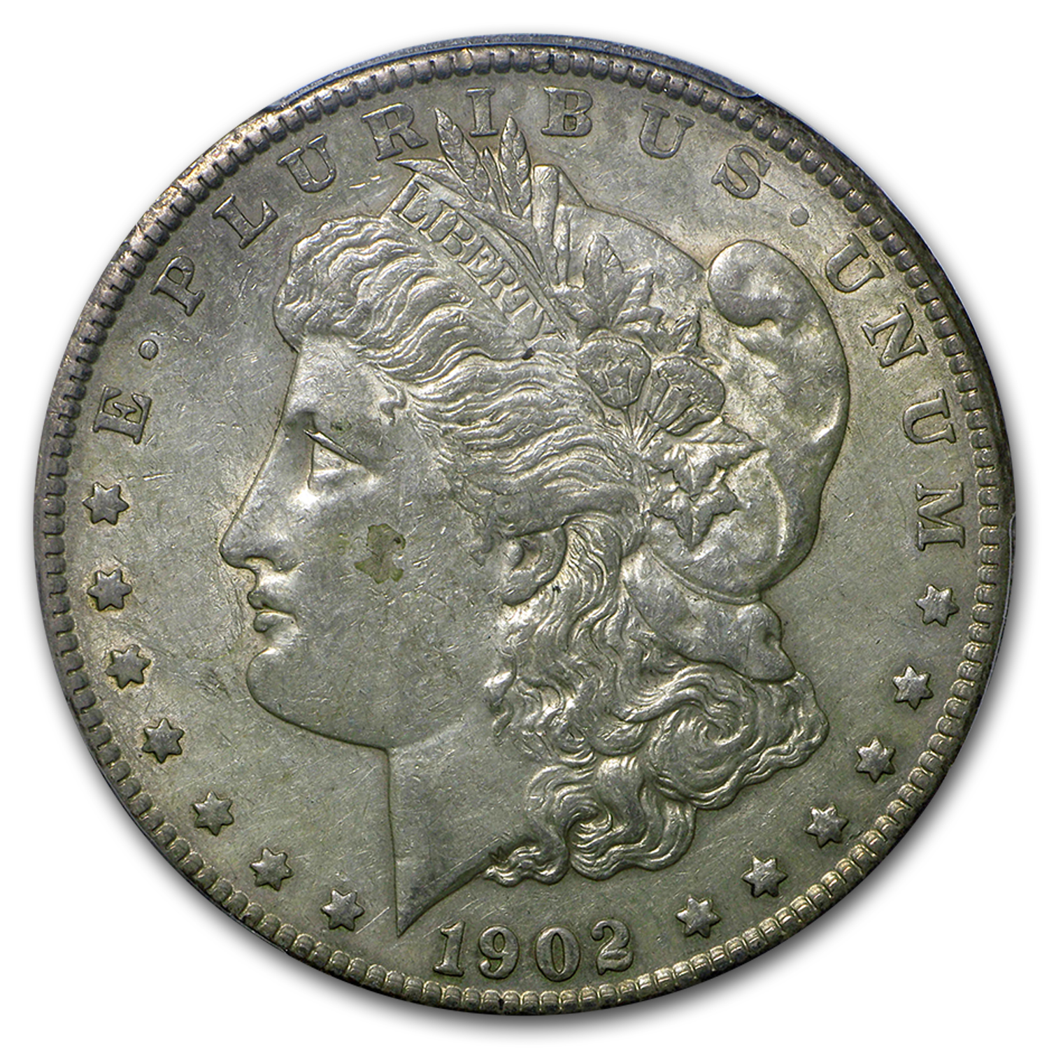 Buy 1902-S Morgan Dollar AU