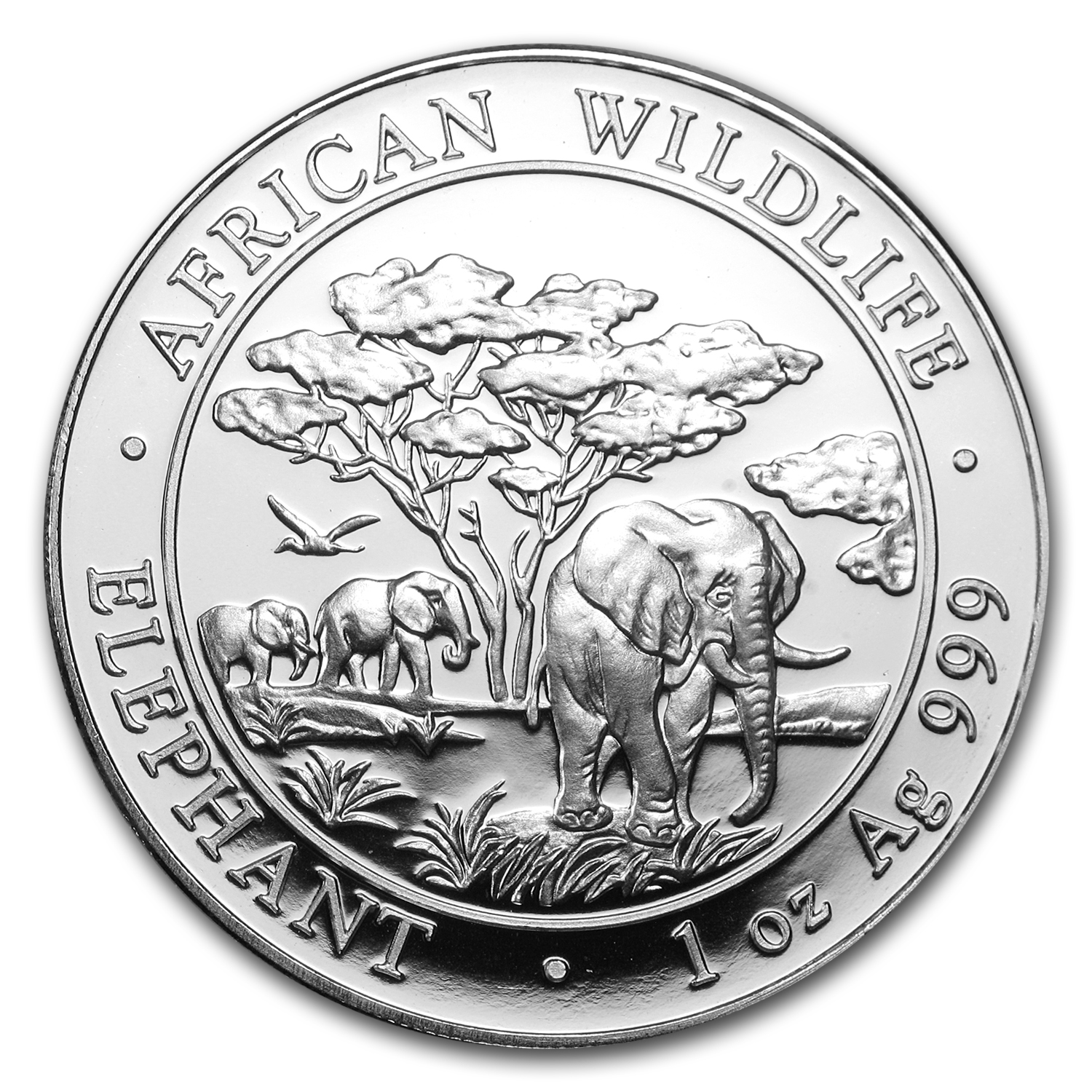 Buy 2012 Somalia 1 oz Silver Elephant BU - Click Image to Close