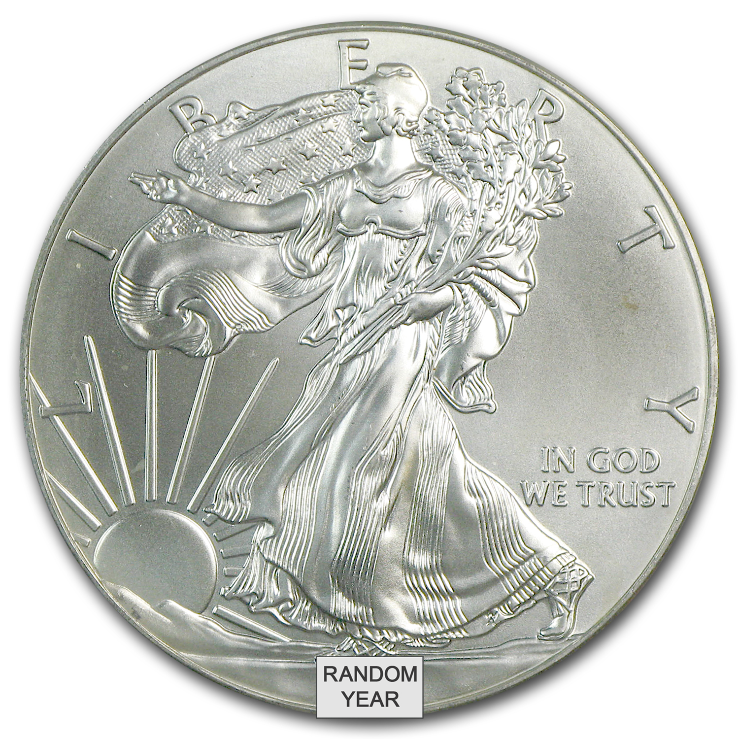Buy 1 oz American Silver Eagle (Cull, Damaged, etc.) - Click Image to Close