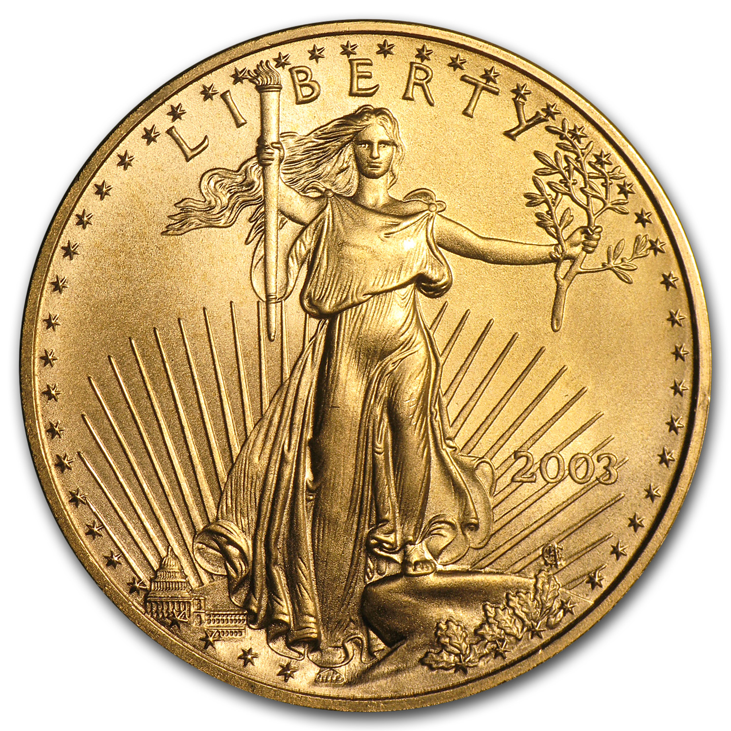 Buy 2003 1 oz American Gold Eagle BU